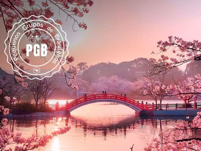 Japao cerejeira pgb ponte