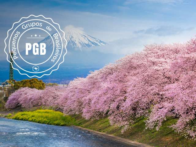 Japao cerejeira pgb