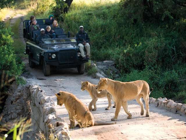 Lions sands africa do sul
