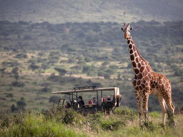 Skysafari loisaba gamedrives