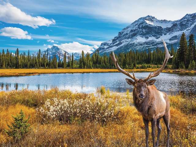 Parque canada outono