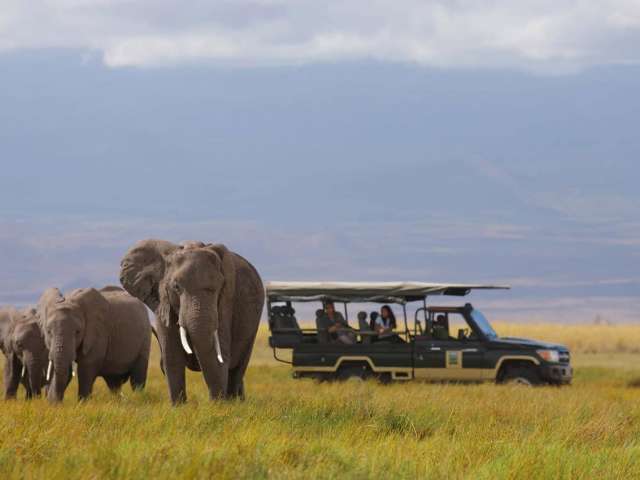 Skysafari quenia elewana tortilis camp amboseli
