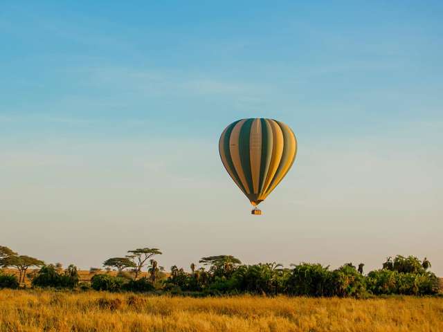Tanzania nimali serengeti balao