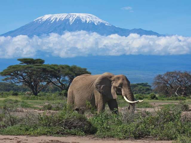 Tanzania