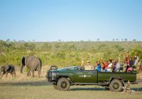 Africadosul grupo safari elefante