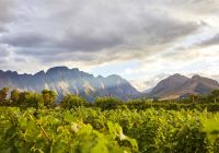 Africadosul la cle montanha vinicola