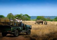 Africadosul reserva phinda andbeyond phindavleilodge rinoceronte