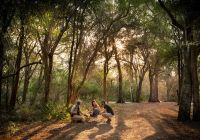 Africadosul reserva phinda andbeyond phindavleilodge walking safari
