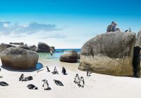 Boulders Beach, África do Sul