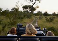 Cheetah plains game drive
