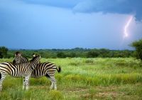 Kapama, África do Sul