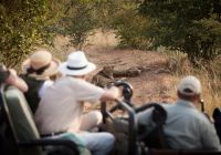 Kapama southern camp game drive leoa