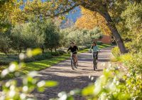 La residence franschhoek passeio bike