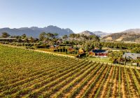 La residence franschhoek vinicola