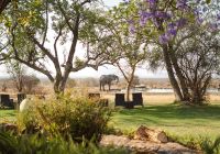 Last word madikwe elefante no waterhole