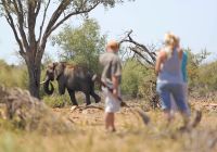 Madikwe safari rhulani d