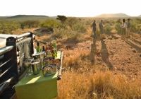 Madikwe safari rhulani f