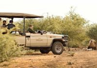 Madikwe safari rhulani k