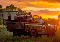 Malamala camp safari carro