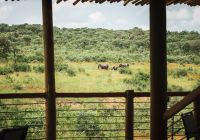 Mdluli safari deck area