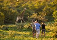 Safári na África do Sul