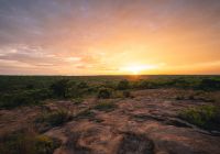 Sunset mdluli safari