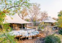 Thornybush saseka tented camp roof