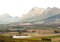 Vinícola em Western Cape Province