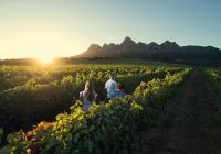 Vinícolas, África do Sul