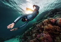 Arabia saudita red sea experiencias mergulho