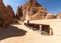 Banyan tree alula c