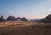 Banyan tree alula k