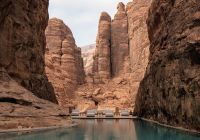 Banyan tree alula l