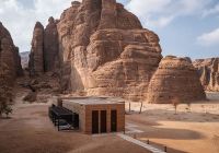 Banyan tree alula p