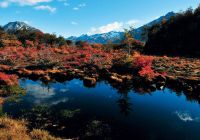 Arakur ushuaia reserva natural cerro alarken