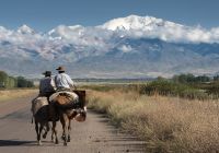 Argentina mendoza gauchos