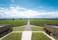 Argentina mendoza vista vinicola