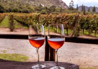 Argentina vinicola cafayate