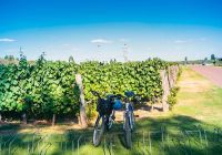 Bike tour at vineyards in the province of mendoza in argentina
