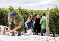 Degustacao vinhos