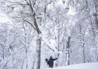 Experiência Neve