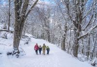 Família caminhando na Neve