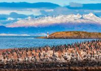 Farol les eclaireurs ushuaia argentina landscape