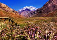 Mendoza argentina