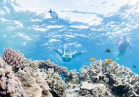 Great barrier reef queensland