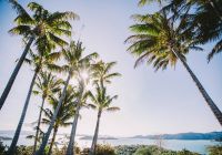 Hamilton island paisagem
