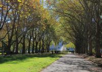 Jardim Carlton, Melbourne, Austrália