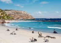 Seal Bay Conservation Park em Kangaroo Island