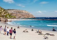 Seal Bay Conservation Park, Kangaroo Island