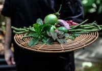 Silky oaks lodge australia the daintree cusine kitchen garden